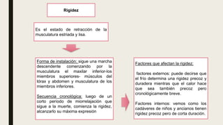 Rigidez
Factores que afectan la rigidez:
factores externos: puede decirse que
el frío determina una rigidez precoz y
duradera mientras que el calor hace
que sea también precoz pero
cronológicamente breve.
Factores internos: vemos como los
cadáveres de niños y ancianos tienen
rigidez precoz pero de corta duración.
Es el estado de retracción de la
musculatura estriada y lisa.
Forma de instalación: sigue una marcha
descendente comenzando por la
musculatura el maxilar inferior-los
miembros superiores- músculos del
tórax y abdomen y musculatura de los
miembros inferiores.
Secuencia cronológica: luego de un
corto período de miorrelajación que
sigue a la muerte, comienza la rigidez,
alcanzarlo su máxima expresión
 