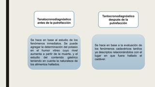 Tanatocronodiagnóstico
antes de la putrefacción
Tantocronodiagnóstico
después de la
putrefacción
Se hace en base al estudio de los
fenómenos inmediatos. Se puede
agregar la determinación del potasio
en el humor vitreo cuyo nivel
aumenta a partir de la muerte, y el
estudio del contenido gástrico
teniendo en cuenta la naturaleza de
los alimentos hallados.
Se hace en base a la evaluación de
los fenómenos cadavéricos tardíos
ya descriptos relacionándolos con el
lugar en que fuera hallado el
cadáver.
 