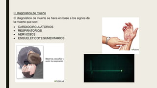 El diagnóstico de muerte
El diagnóstico de muerte se hace en base a los signos de
la muerte que son:
 CARDIOCIRCULATORIOS
 RESPIRATORIOS
 NERVIOSOS
 ESQUELETICOTEGUMENTARIOS
 