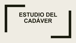 ESTUDIO DEL
CADÁVER
 