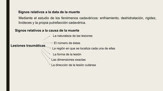 Signos relativos a la data de la muerte
Mediante el estudio de los fenómenos cadavéricos: enfriamiento, deshidratación, rigidez,
livideces y la propia putrefacción cadavérica.
Signos relativos a la causa de la muerte
Lesiones traumáticas
La naturaleza de las lesiones
El número de éstas
La región en que se localiza cada una de ellas
La forma de la lesión
Las dimensiones exactas
La dirección de la lesión cutánea
 