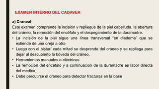 EXAMEN INTERNO DEL CADAVER
a) Craneal
Este examen comprende la incisión y repliegue de la piel cabelluda, la abertura
del cráneo, la remoción del encéfalo y el despegamiento de la duramadre.
• La incisión de la piel sigue una línea transversal “en diadema” que se
extiende de una oreja a otra
• Luego con el bisturí cada mitad se desprende del cráneo y se repliega para
dejar al descubierto la bóveda del cráneo.
• Herramientas manuales o eléctricas
• La remoción del encéfalo y a continuación de la duramadre es labor directa
del medico
• Debe percutirse el cráneo para detectar fracturas en la base
 