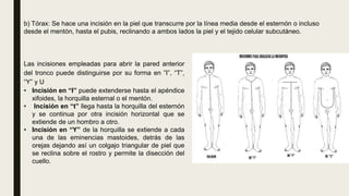b) Tórax: Se hace una incisión en la piel que transcurre por la línea media desde el esternón o incluso
desde el mentón, hasta el pubis, reclinando a ambos lados la piel y el tejido celular subcutáneo.
Las incisiones empleadas para abrir la pared anterior
del tronco puede distinguirse por su forma en ”I”, “T”,
“Y” y U
• Incisión en “I” puede extenderse hasta el apéndice
xifoides, la horquilla esternal o el mentón.
• Incisión en “t” llega hasta la horquilla del esternón
y se continua por otra incisión horizontal que se
extiende de un hombro a otro.
• Incisión en “Y” de la horquilla se extiende a cada
una de las eminencias mastoides, detrás de las
orejas dejando así un colgajo triangular de piel que
se reclina sobre el rostro y permite la disección del
cuello.
 