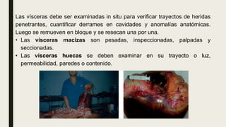 Las vísceras debe ser examinadas in situ para verificar trayectos de heridas
penetrantes, cuantificar derrames en cavidades y anomalías anatómicas.
Luego se remueven en bloque y se resecan una por una.
• Las vísceras macizas son pesadas, inspeccionadas, palpadas y
seccionadas.
• Las vísceras huecas se deben examinar en su trayecto o luz,
permeabilidad, paredes o contenido.
 