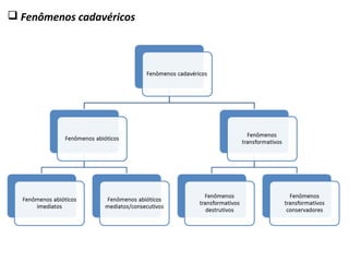  Fenômenos cadavéricos
 