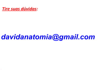 davidanatomia@gmail.com
Tire suas dúvidas:
!
 