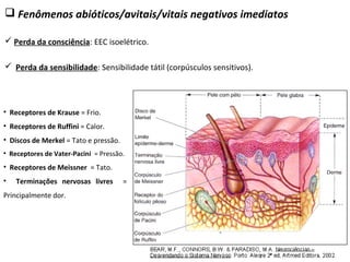  Fenômenos abióticos/avitais/vitais negativos imediatos
 Perda da consciência: EEC isoelétrico.
• Receptores de Krause = Frio.
• Receptores de Ruffini = Calor.
• Discos de Merkel = Tato e pressão.
• Receptores de Vater-Pacini = Pressão.
• Receptores de Meissner = Tato.
• Terminações nervosas livres =
Principalmente dor.
 Perda da sensibilidade: Sensibilidade tátil (corpúsculos sensitivos).
 