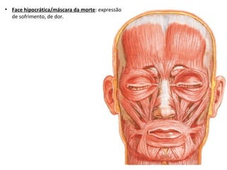 • Face hipocrática/máscara da morte: expressão
de sofrimento, de dor.
 