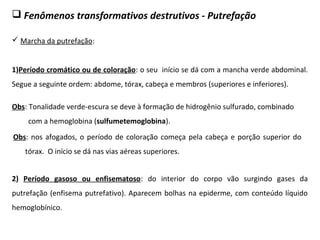  Fenômenos transformativos destrutivos - Putrefação
 Marcha da putrefação:
1)Período cromático ou de coloração: o seu início se dá com a mancha verde abdominal.
Segue a seguinte ordem: abdome, tórax, cabeça e membros (superiores e inferiores).
Obs: Tonalidade verde-escura se deve à formação de hidrogênio sulfurado, combinado
com a hemoglobina (sulfumetemoglobina).
Obs: nos afogados, o período de coloração começa pela cabeça e porção superior do
tórax. O início se dá nas vias aéreas superiores.
2) Período gasoso ou enfisematoso: do interior do corpo vão surgindo gases da
putrefação (enfisema putrefativo). Aparecem bolhas na epiderme, com conteúdo líquido
hemoglobínico.
 