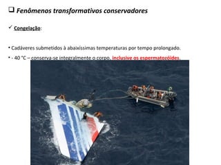  Fenômenos transformativos conservadores
 Congelação:
• Cadáveres submetidos à abaixíssimas temperaturas por tempo prolongado.
• - 40 °C – conserva-se integralmente o corpo, inclusive os espermatozóides.
 
