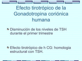 Efecto tirotrópico de la Gonadotropina coriónica humana Disminución de los niveles de TSH durante el primer trimestre Efecto tirotrópico de h CG: homologia estructural con TSH. 