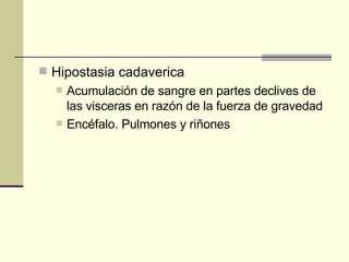 Hipostasia cadaverica Acumulación de sangre en partes declives de las visceras en razón de la fuerza de gravedad Encéfalo. Pulmones y riñones 