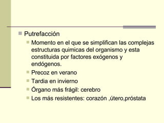 Putrefacción Momento en el que se simplifican las complejas estructuras quimicas del organismo y esta constituida por factores exógenos y endógenos. Precoz en verano Tardia en invierno Órgano más frágil: cerebro Los más resistentes: corazón ,útero,próstata 