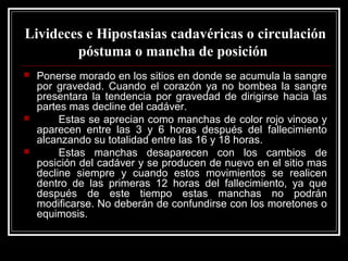 Livideces e Hipostasias cadavéricas o circulación
póstuma o mancha de posición
 Ponerse morado en los sitios en donde se acumula la sangre
por gravedad. Cuando el corazón ya no bombea la sangre
presentara la tendencia por gravedad de dirigirse hacia las
partes mas decline del cadáver.
 Estas se aprecian como manchas de color rojo vinoso y
aparecen entre las 3 y 6 horas después del fallecimiento
alcanzando su totalidad entre las 16 y 18 horas.
 Estas manchas desaparecen con los cambios de
posición del cadáver y se producen de nuevo en el sitio mas
decline siempre y cuando estos movimientos se realicen
dentro de las primeras 12 horas del fallecimiento, ya que
después de este tiempo estas manchas no podrán
modificarse. No deberán de confundirse con los moretones o
equimosis.
 