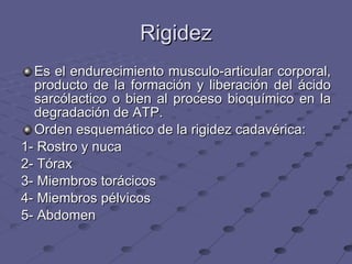 Rigidez Es el endurecimiento musculo-articular corporal, producto de la formación y liberación del ácido sarcólactico o bien al proceso bioquímico en la degradación de ATP. Orden esquemático de la rigidez cadavérica: 1- Rostro y nuca 2- Tórax 3- Miembros torácicos 4- Miembros pélvicos 5- Abdomen 