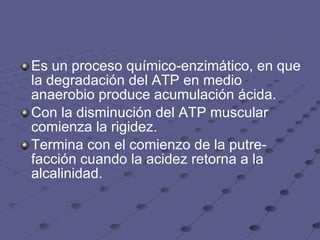 Es un proceso químico-enzimático, en que la degradación del ATP en medio anaerobio produce acumulación ácida. Con la disminución del ATP muscular comienza la rigidez. Termina con el comienzo de la putre-facción cuando la acidez retorna a la alcalinidad.  