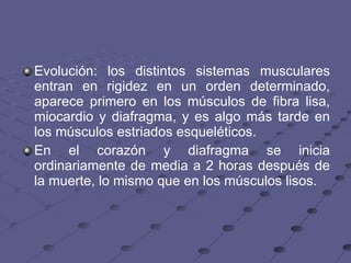Evolución: los distintos sistemas musculares entran en rigidez en un orden determinado, aparece primero en los músculos de fibra lisa, miocardio y diafragma, y es algo más tarde en los músculos estriados esqueléticos.  En el corazón y diafragma se inicia ordinariamente de media a 2 horas después de la muerte, lo mismo que en los músculos lisos. 