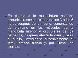 En cuanto a la musculatura estriada esquelética suele iniciarse de las 3 a las 6 horas después de la muerte, comenzando de ordinario en los músculos de la mandíbula inferior y orbiculares de los párpados; después afecta la cara y pasa al cuello, invadiendo sucesivamente el tórax, brazos, tronco y, por último, las piernas.  