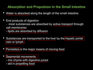 Absorption and Propulsion in the Small Intestine
• Water is absorbed along the length of the small intestine
• End products of digestion
- most substances are absorbed by active transport through
cell membranes
- lipids are absorbed by diffusion
• Substances are transported to the liver by the hepatic portal
vein or lymph
• Peristalsis is the major means of moving food
• Segmental movements
- mix chyme with digestive juices
- aid in propelling food
 