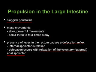 Propulsion in the Large Intestine
• sluggish peristalsis
• mass movements
- slow, powerful movements
- occur three to four times a day
• presence of feces in the rectum causes a defecation reflex
- internal sphincter is relaxed
- defecation occurs with relaxation of the voluntary (external)
anal sphincter
 
