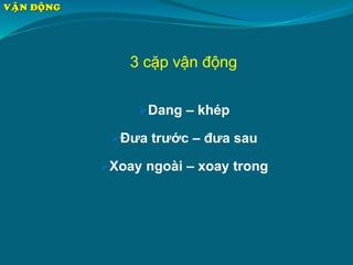 Dang – khép
Đưa trước – đưa sau
Xoay ngoài – xoay trong
3 cặp vận động
VAÄN ÑOÄNG
 