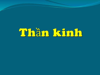 Thần kinh
 