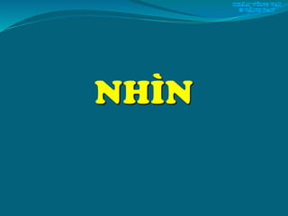 NHÌN
 