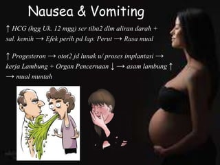 Nausea & Vomiting
↑ HCG (hgg Uk. 12 mgg) scr tiba2 dlm aliran darah +
sal. kemih → Efek perih pd lap. Perut → Rasa mual
↑ Progesteron → otot2 jd lunak u/ proses implantasi →
kerja Lambung + Organ Pencernaan ↓ → asam lambung ↑
→ mual muntah
 