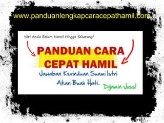 www.panduanlengkapcaracepathamil.com
 