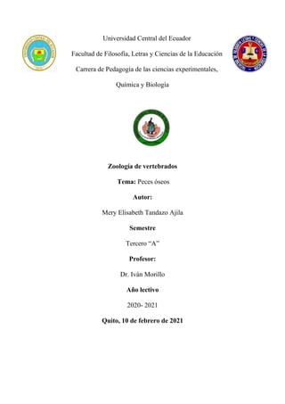 Universidad Central del Ecuador
Facultad de Filosofía, Letras y Ciencias de la Educación
Carrera de Pedagogía de las ciencias experimentales,
Química y Biología
Zoología de vertebrados
Tema: Peces óseos
Autor:
Mery Elisabeth Tandazo Ajila
Semestre
Tercero “A”
Profesor:
Dr. Iván Morillo
Año lectivo
2020- 2021
Quito, 10 de febrero de 2021
 