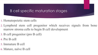 T AND B CELL DEVELOPMENT MEDICAL SCHOOL.pptx