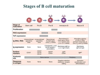T and b cells | PDF