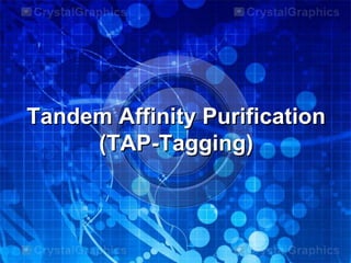 Tandem Affinity Purification
(TAP-Tagging)
 