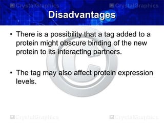 Disadvantages
• There is a possibility that a tag added to a
protein might obscure binding of the new
protein to its interacting partners.
• The tag may also affect protein expression
levels.
 