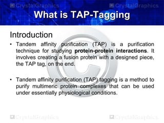 What is TAP-Tagging
Introduction
• Tandem affinity purification (TAP) is a purification
technique for studying protein-protein interactions. It
involves creating a fusion protein with a designed piece,
the TAP tag, on the end.
• Tandem affinity purification (TAP) tagging is a method to
purify multimeric protein complexes that can be used
under essentially physiological conditions.
 