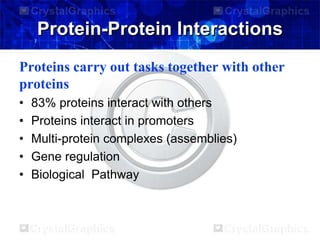 Protein-Protein Interactions
Proteins carry out tasks together with other
proteins
• 83% proteins interact with others
• Proteins interact in promoters
• Multi-protein complexes (assemblies)
• Gene regulation
• Biological Pathway
 