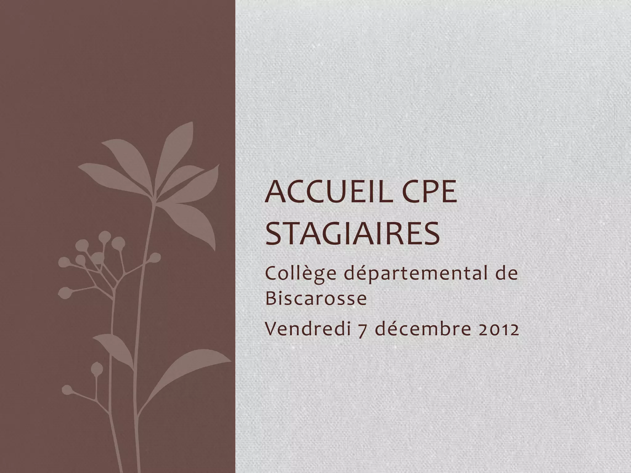 ACCUEIL CPE
STAGIAIRES
Collège départemental de
Biscarosse
Vendredi 7 décembre 2012