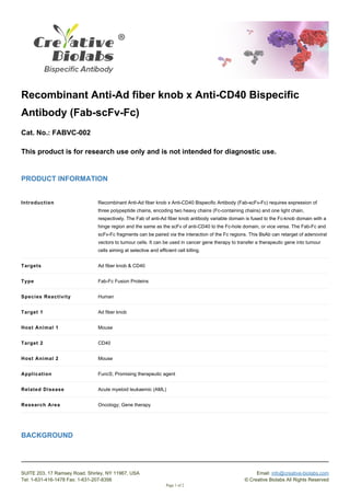 Recombinant Anti-Ad fiber knob x Anti-CD40 Bispecific
Antibody (Fab-scFv-Fc)
Cat. No.: FABVC-002
This product is for research use only and is not intended for diagnostic use.
PRODUCT INFORMATION
Introduction Recombinant Anti-Ad fiber knob x Anti-CD40 Bispecific Antibody (Fab-scFv-Fc) requires expression of
three polypeptide chains, encoding two heavy chains (Fc-containing chains) and one light chain,
respectively. The Fab of anti-Ad fiber knob antibody variable domain is fused to the Fc-knob domain with a
hinge region and the same as the scFv of anti-CD40 to the Fc-hole domain, or vice versa. The Fab-Fc and
scFv-Fc fragments can be paired via the interaction of the Fc regions. This BsAb can retarget of adenoviral
vectors to tumour cells. It can be used in cancer gene therapy to transfer a therapeutic gene into tumour
cells aiming at selective and efficient cell killing.
Targets Ad fiber knob & CD40
Type Fab-Fc Fusion Proteins
Species Reactivity Human
Target 1 Ad fiber knob
Host Animal 1 Mouse
Target 2 CD40
Host Animal 2 Mouse
Application FuncS; Promising therapeutic agent
Related Disease Acute myeloid leukaemic (AML)
Research Area Oncology; Gene therapy
BACKGROUND
SUITE 203, 17 Ramsey Road, Shirley, NY 11967, USA Email: info@creative-biolabs.com
Tel: 1-631-416-1478 Fax: 1-631-207-8356 © Creative Biolabs All Rights Reserved
Page 1 of 2
 