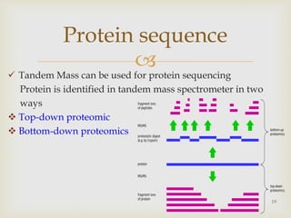 
 Tandem Mass can be used for protein sequencing
Protein is identified in tandem mass spectrometer in two
ways
 Top-down proteomic
 Bottom-down proteomics
19
Protein sequence
 