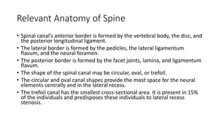 Relevant Anatomy of Spine
• Spinal canal’s anterior border is formed by the vertebral body, the disc, and
the posterior longitudinal ligament.
• The lateral border is formed by the pedicles, the lateral ligamentum
flavum, and the neural foramen.
• The posterior border is formed by the facet joints, lamina, and ligamentum
flavum.
• The shape of the spinal canal may be circular, oval, or trefoil.
• The circular and oval canal shapes provide the most space for the neural
elements centrally and in the lateral recess.
• The trefoil canal has the smallest cross-sectional area. It is present in 15%
of the individuals and predisposes these individuals to lateral recess
stenosis.
 