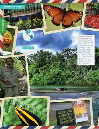 GAILHAMPSHIRE
32
COSTARICA
LETTERS FROM THE EDGE
TASTE&TRAVEL INTERNATIONAL OCTOBER–DECEMBER 2015
WHERE ON EARTH
Costa Rica
THIS SPREAD CLOCKWISE
FROM TOP LEFT At the
market; Butterfly
at Finca Educativa
Don Juan; Fruit for
sale; Hummingbird;
Howler monkey;
Finca Educativa
Don Juan; Tree
frog; Recycling
at Tabacon; Local
food sign; Arctiidae
beetle; Touring
Rancho Margot;
Ceviche. MAIN PHOTO
Rio Aguajitas.
 