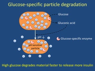 Glucose-specific particle degradation
                        I           I
                                                            I
                                                                            I
                                                                                                I
                                                                                                        I                   Glucose
                I                               I                                                   I
                                                                    I
                                                                                                I
                                    I                   I                   I                               I               Gluconic acid
                    I                                                                       I
                                                                I                                   I
                                I                                                   I




                I                                                           pH ↓                                I
                                                                                                                              Glucose-specific enzyme
        I                               I                                       I
                                                                                            I           I
                        I               pH-sensitive
                                I                                                                           I           I
            I               I             particle I
                                    I
                                                    I                   I

                    I                       I                                           I                           I




High glucose degrades material faster to release more insulin
 
