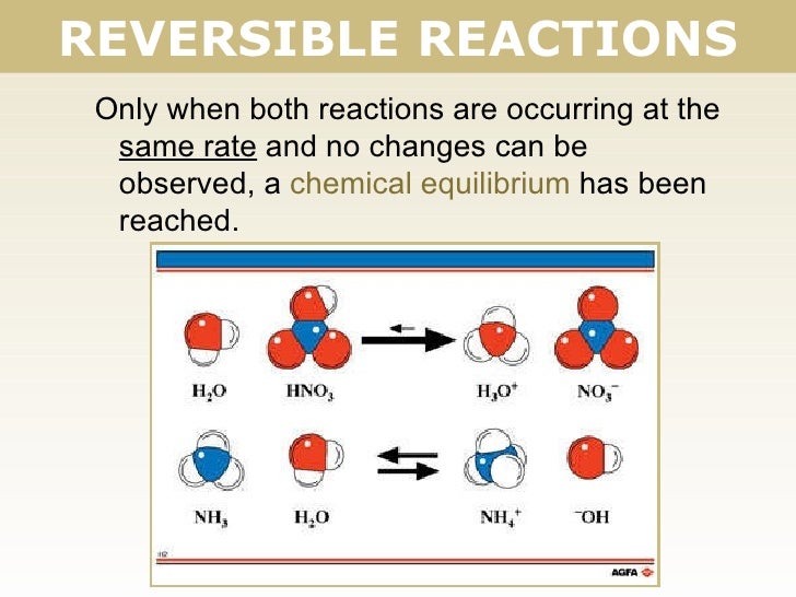 Tang 01 reversible reactions 2