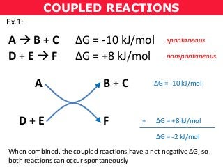 COUPLED REACTIONS
Ex.1:
A  B + C ΔG = -10 kJ/mol
D + E  F ΔG = +8 kJ/mol
spontaneous
nonspontaneous
A B + C
D + E F
ΔG = -10 kJ/mol
ΔG = +8 kJ/mol
ΔG = -2 kJ/mol
When combined, the coupled reactions have a net negative ΔG, so
both reactions can occur spontaneously
+
 