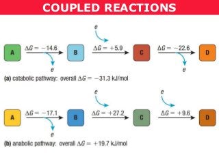 COUPLED REACTIONS
 