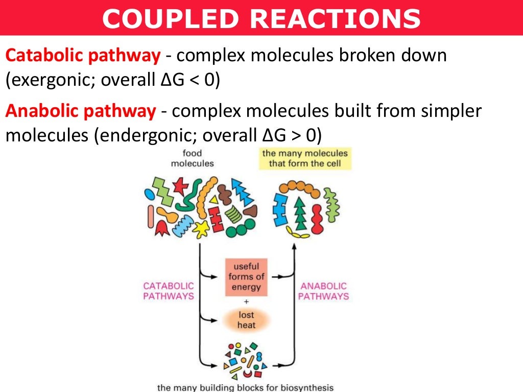 Tang 01c coupled reactions