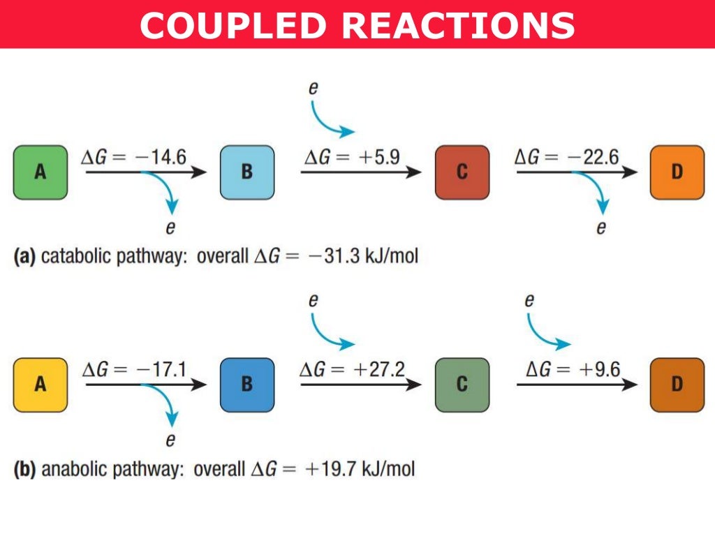 Tang 01c coupled reactions