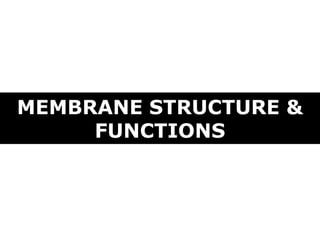 MEMBRANE STRUCTURE &
FUNCTIONS
 
