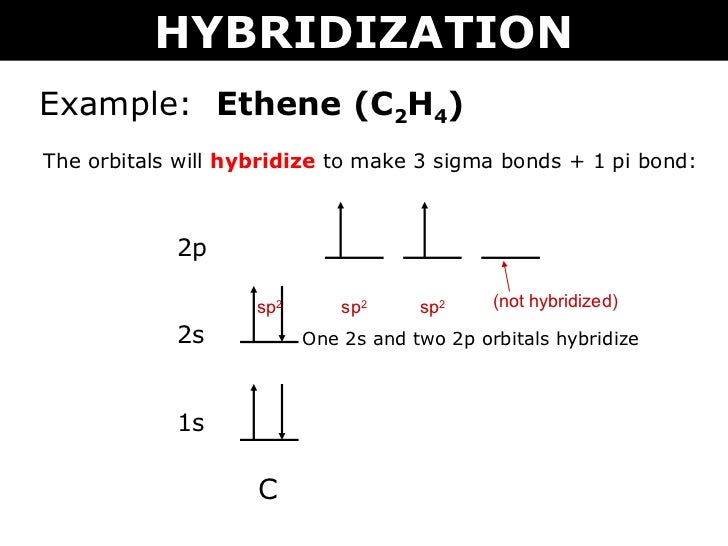 Tang 08 hybridization