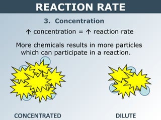 REACTION RATE
3. Concentration
 concentration =  reaction rate
More chemicals results in more particles
which can participate in a reaction.
CONCENTRATED DILUTE
 